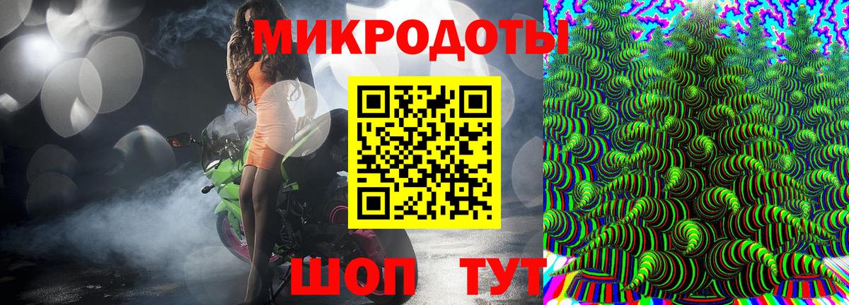 Псилоцибиновые грибы Psilocybine cubensis Лосино-Петровский