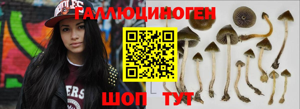 Лосино-Петровский  Псилоцибиновые грибы прущие грибы  Вход с VPN 